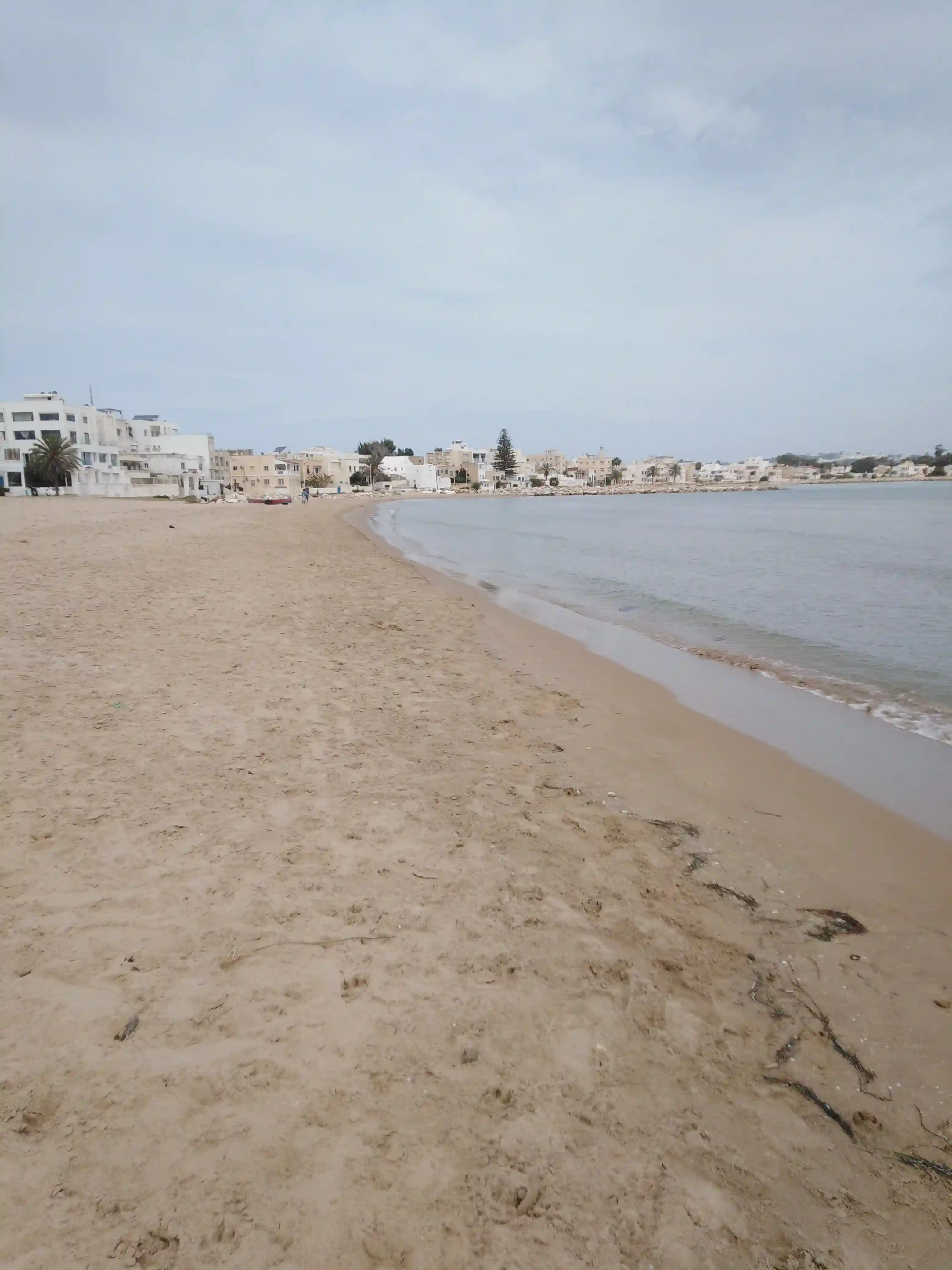 Avec Certificat de Propriété à Le Kram Est - Vue 1