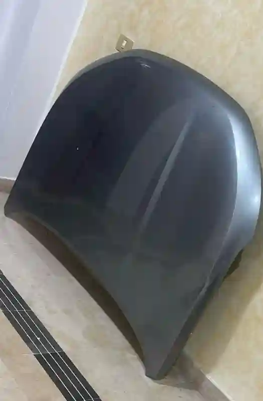 Capot Et Optique Haval Jolion - Vue 2