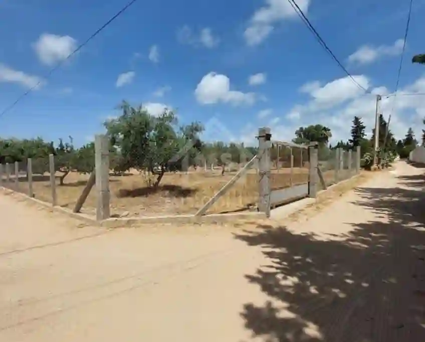 Terrain Viabilisé de 600 m² à Vendre à Hammamet 51355351