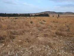 À Vendre Terrain Agricole de 2 Hectares Avec Façade de 100 m su