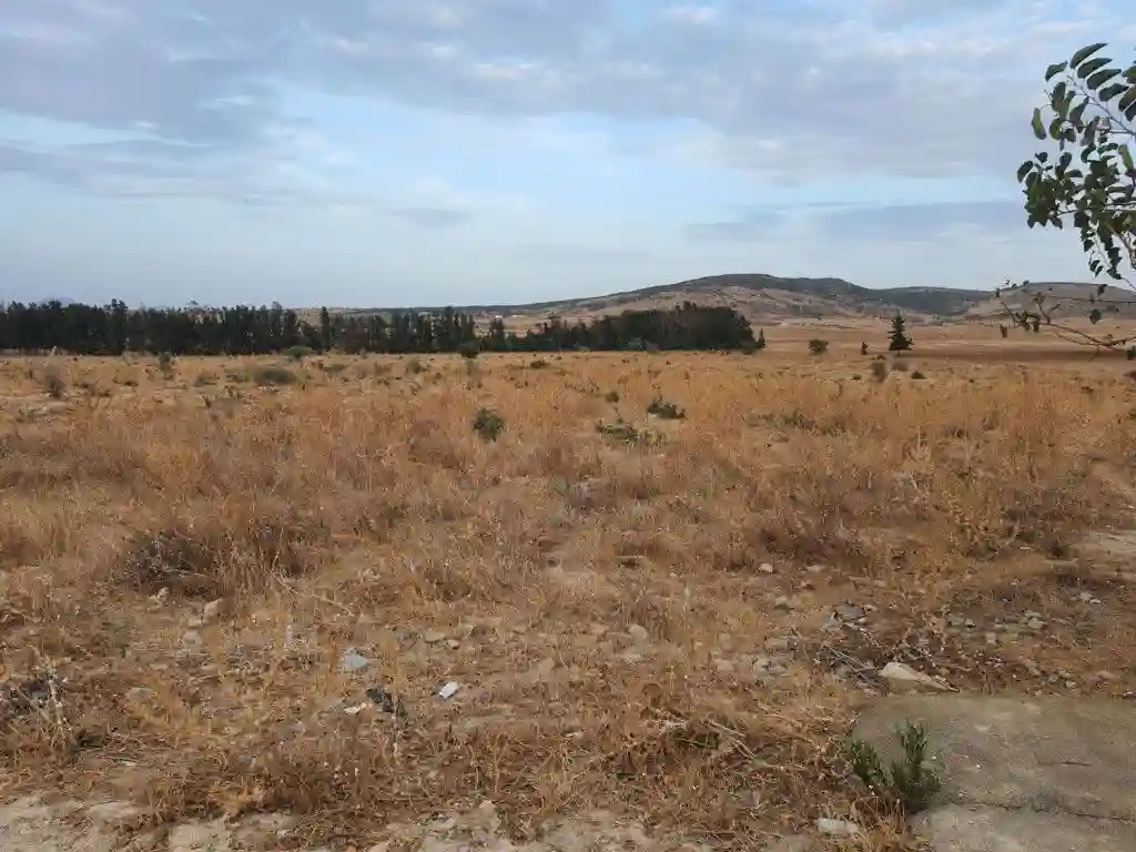 À Vendre Terrain Agricole de 2 Hectares Avec Façade de 100 m su - Vue 2