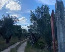 Un Terrain de 950 m² à Hammamet à Vendre 51355351