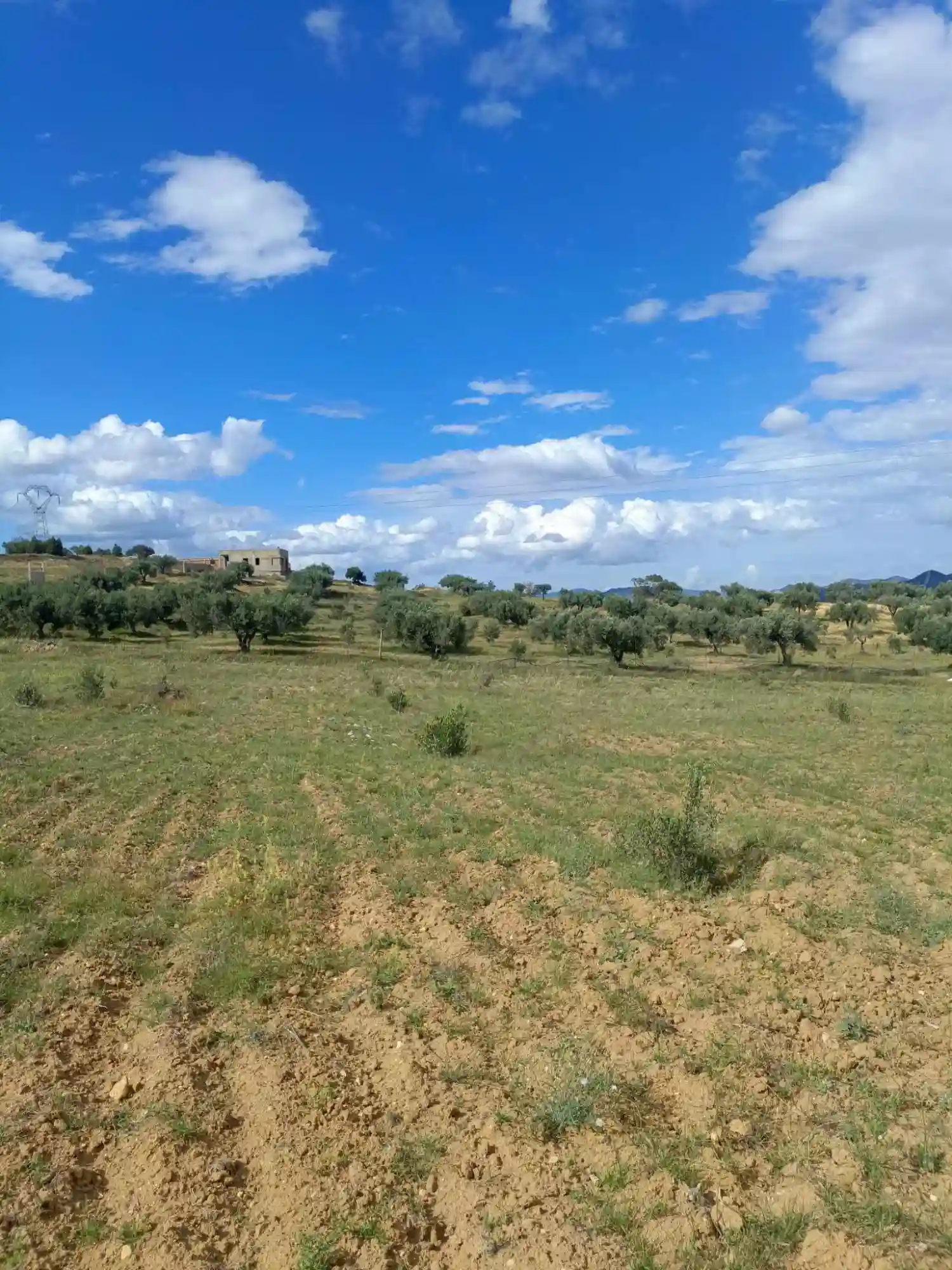 Av Terrain 4100m à Zaghouan - Vue 2
