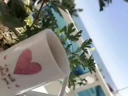 Appartement et Studio Avec vue sur mer à Kelibia