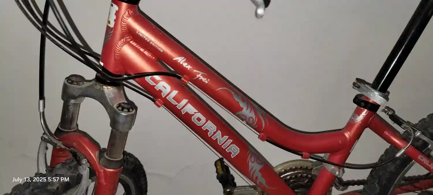 Vélo California à La Marsa - Vue 2