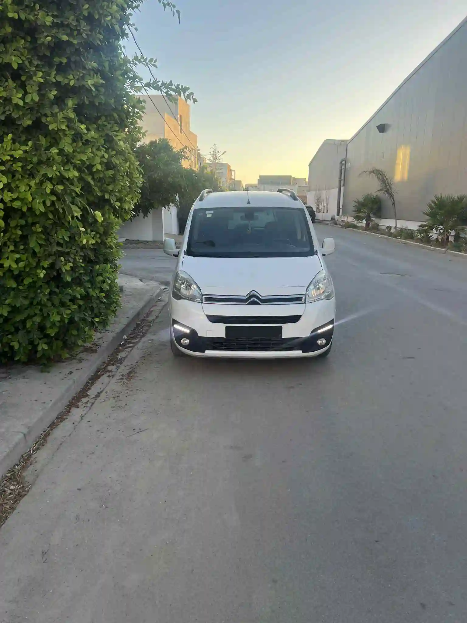 Citroen Berlingo 5 Places à Cite El Ghazala 1 - Vue 2