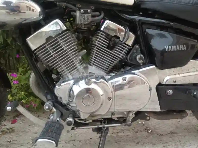 Yamaha Virago 125 - Vue 2