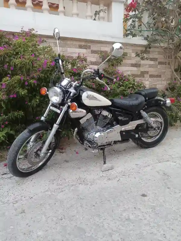 Yamaha Virago 125 - Vue 4