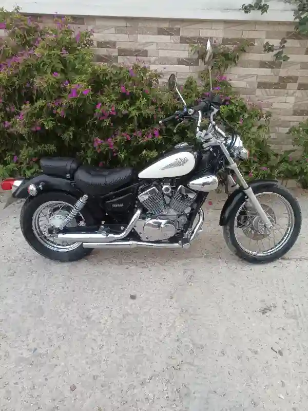 Yamaha Virago 125 - Vue 6