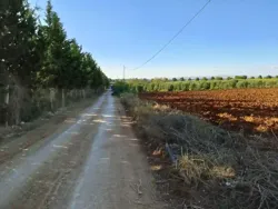 Terrain nu Sidi Thabet à Sidi Thabet
