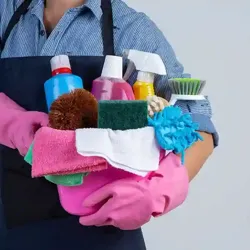 Femme de Ménage et Bricolage à Ariana Ville