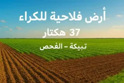 إعلان كراء أرض فلاحية — 37 هكتار