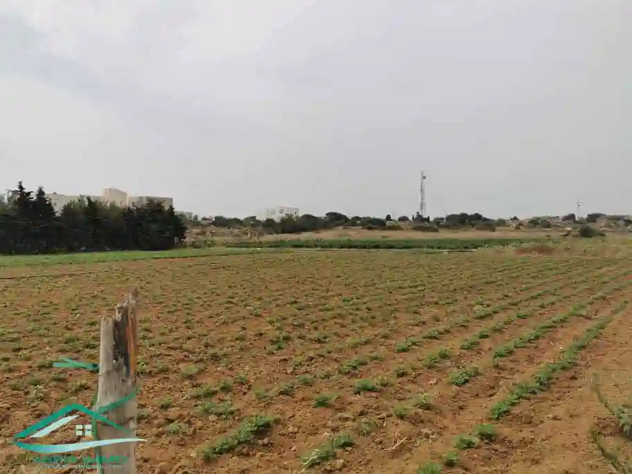 Vt628 Terrain 470 m2 à Kelibia la Blanche à Kelibia - Vue 4