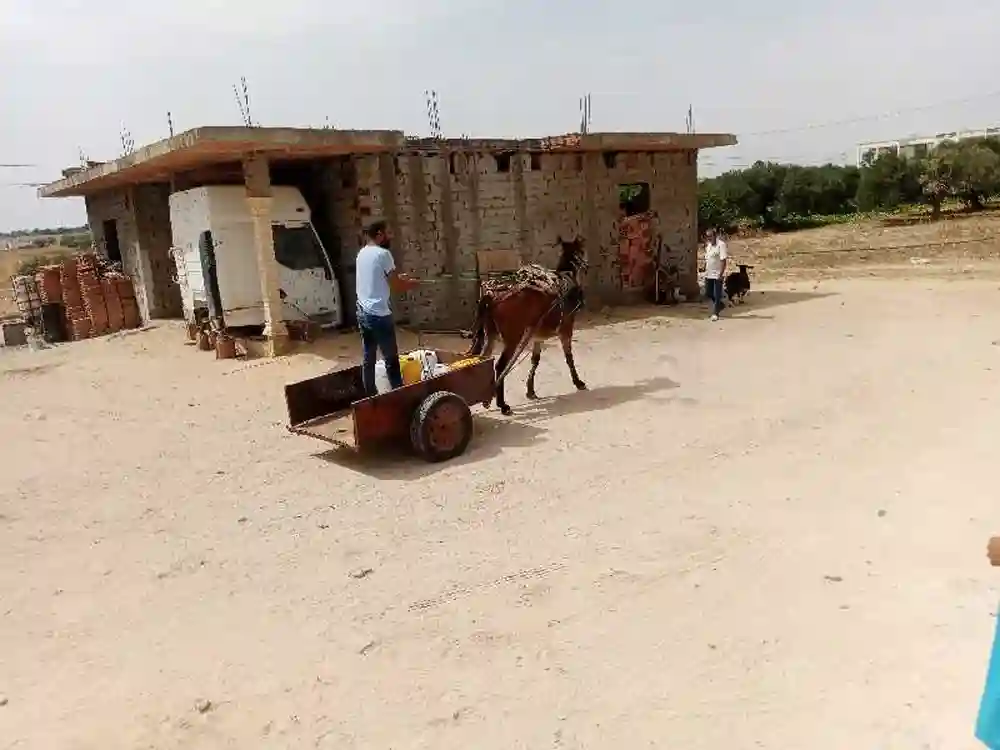 Baghla - Vue 1