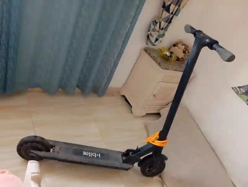 Scoter Electric - Vue 2