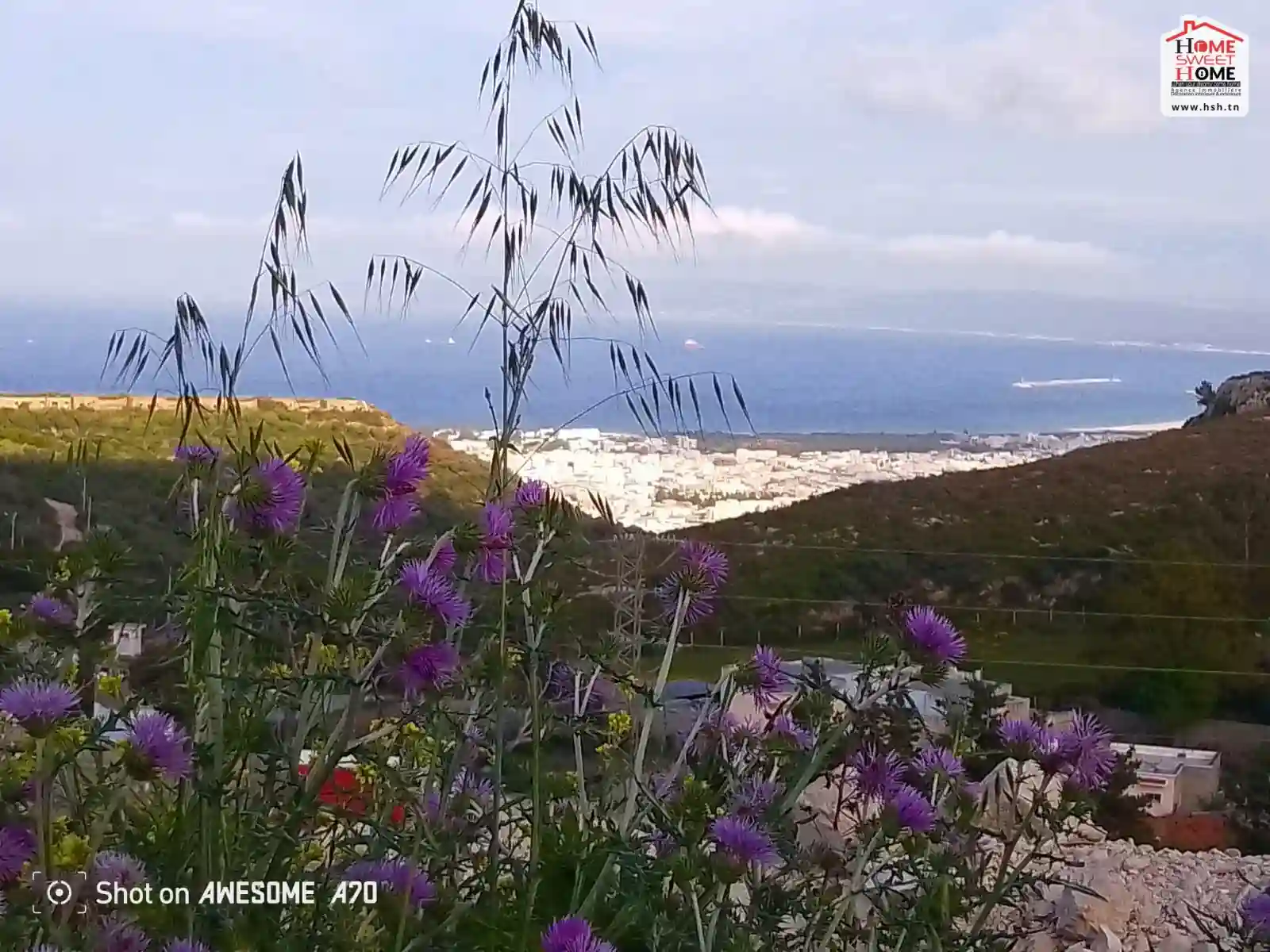 Terrain Villa Ammonite à Nadhour Bizerte à Bizerte - Vue 1