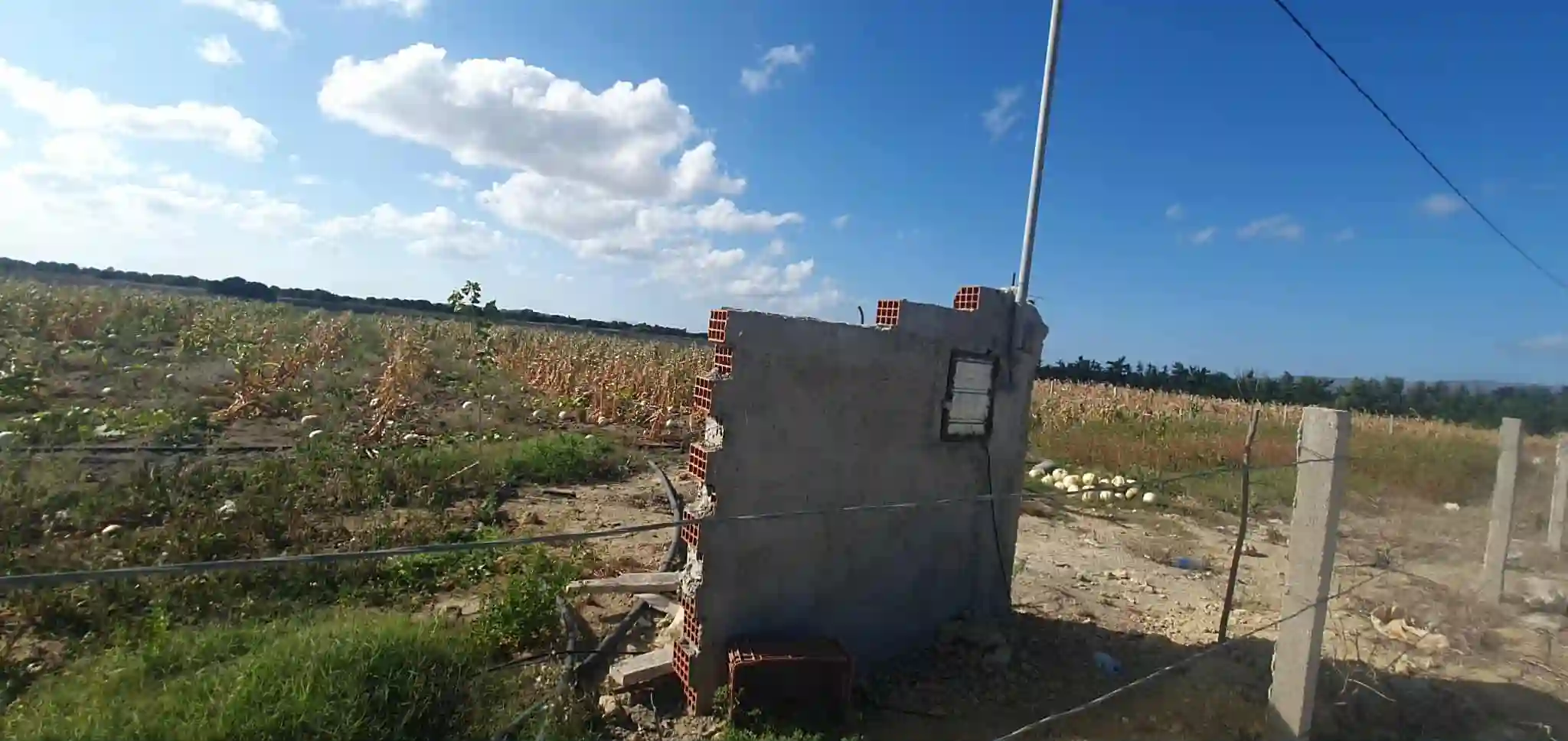 Ferme à Chraf el Haouaria à Charaf