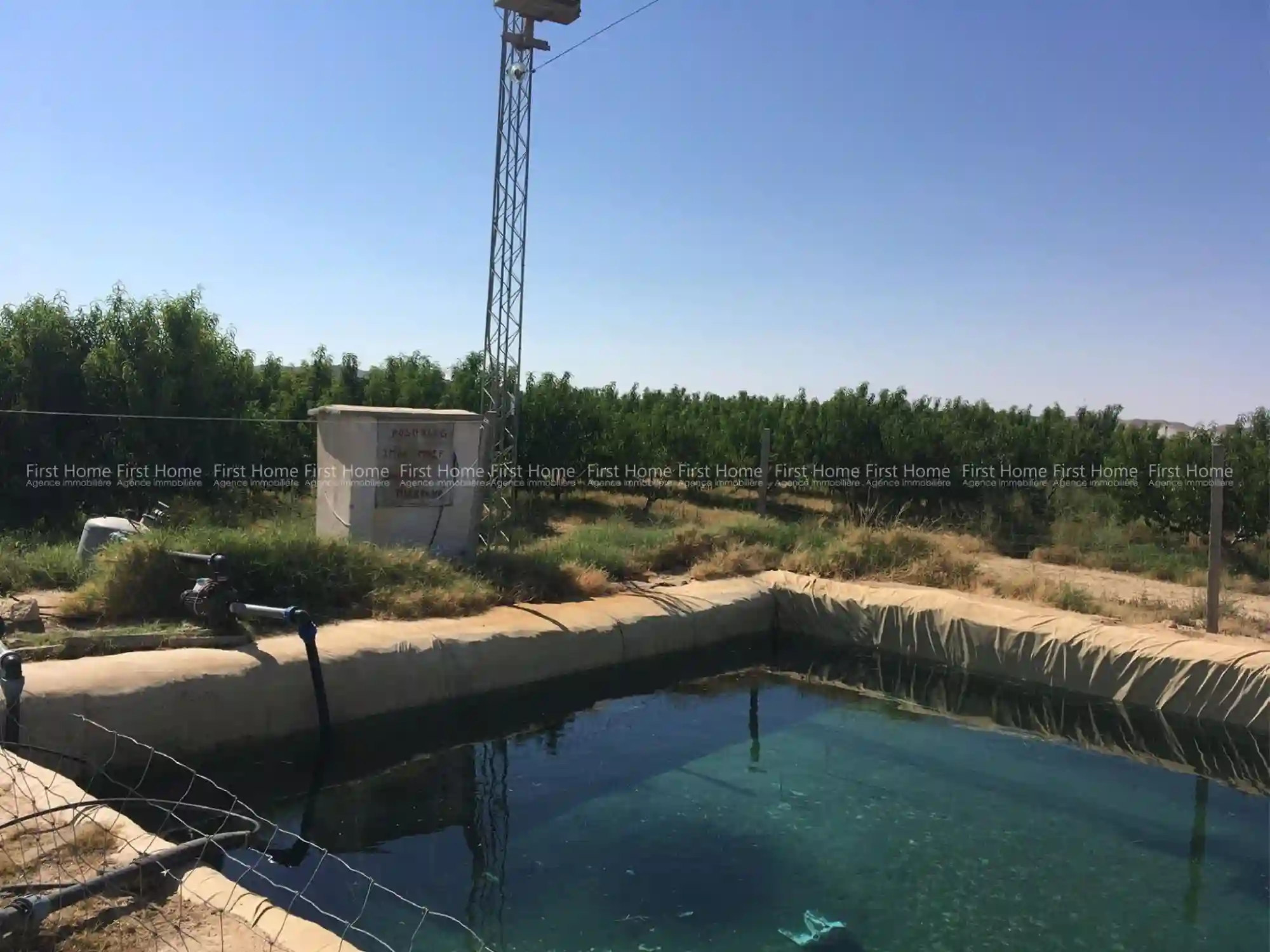 Ferme à Mezzouna Sidi Bouzid - Vue 2