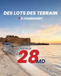 قطعة أرض في الحمامات الجنوبية