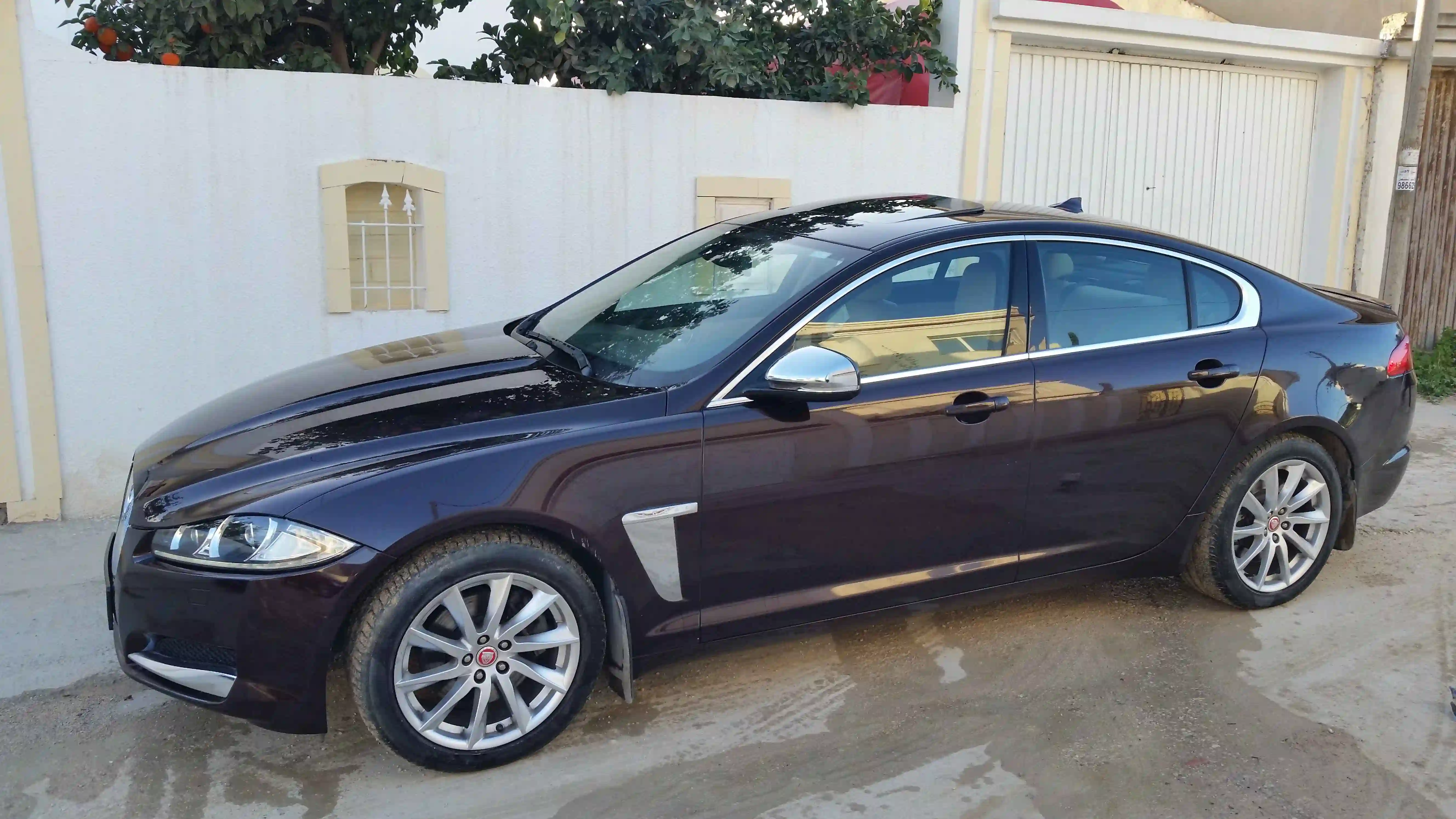 Jaguar xf Toute Option à Cite El Ghazala 1