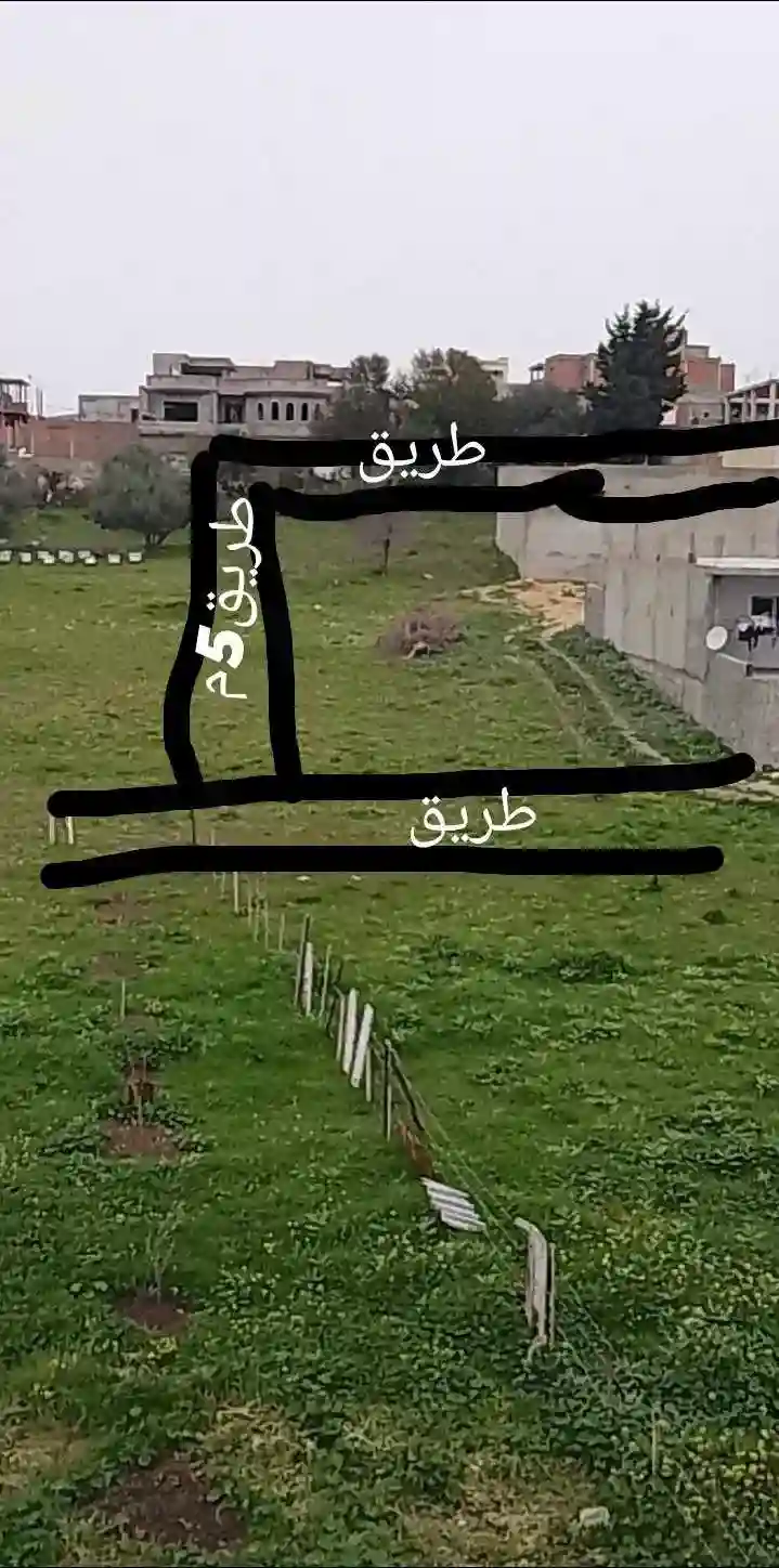 أرض مقسمة و مسجلة للبيع - Vue 1