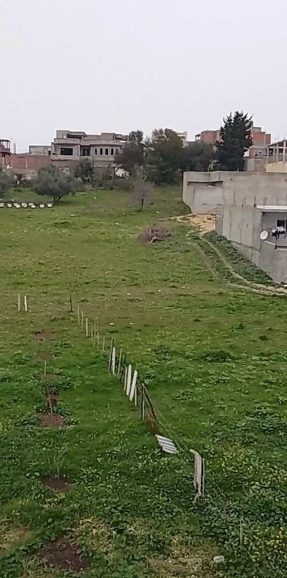 أرض مقسمة و مسجلة للبيع - Vue 2