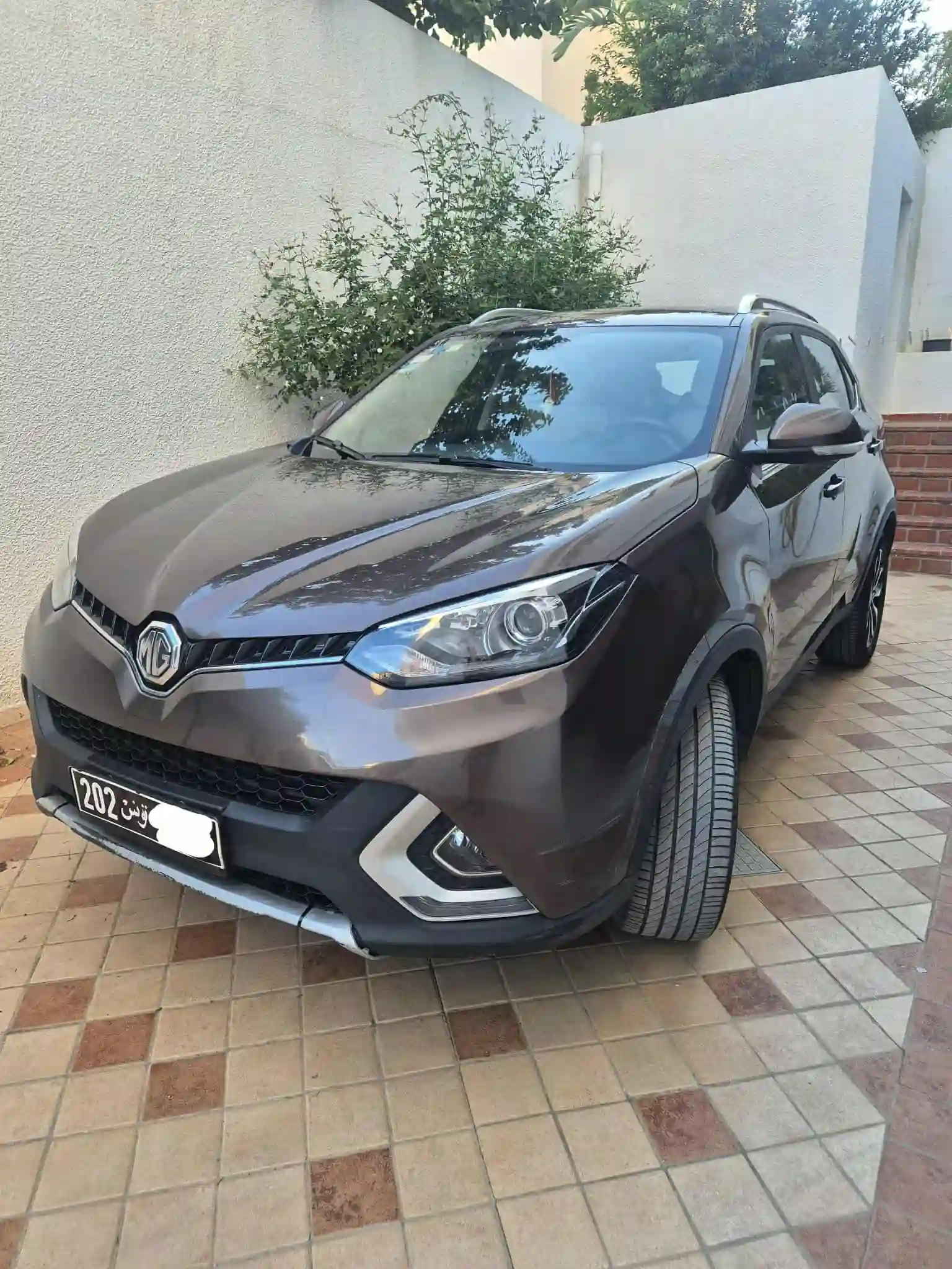 Mg Gs