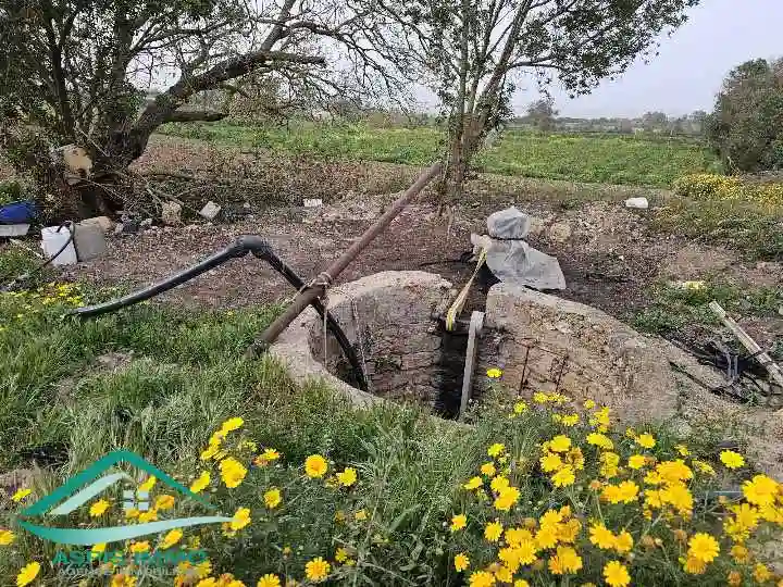 Vt896 Terrain Agricole 5 Hectares à Hawaria à El Haouaria