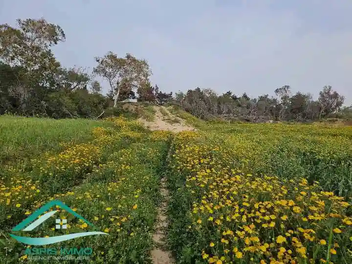 Vt896 Terrain Agricole 5 Hectares à Hawaria à El Haouaria - Vue 1