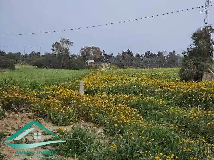 Vt896 Terrain Agricole 5 Hectares à Hawaria à El Haouaria - Vue 3