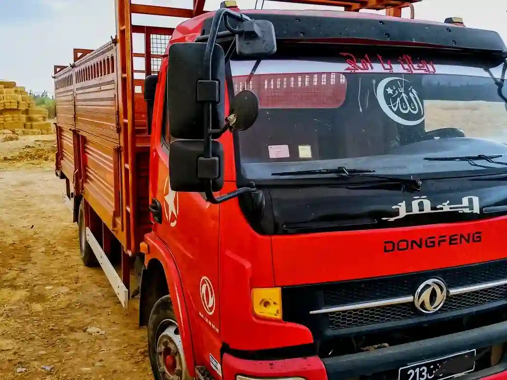Camion Dongfeng Poid Lourd 125