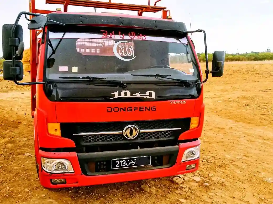 Camion Dongfeng Poid Lourd 125 - Vue 4