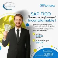 Formation SAP S4hana Fico