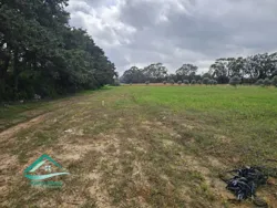 Vt955 Terrain 1000 m2 à Kerkouene à Kelibia