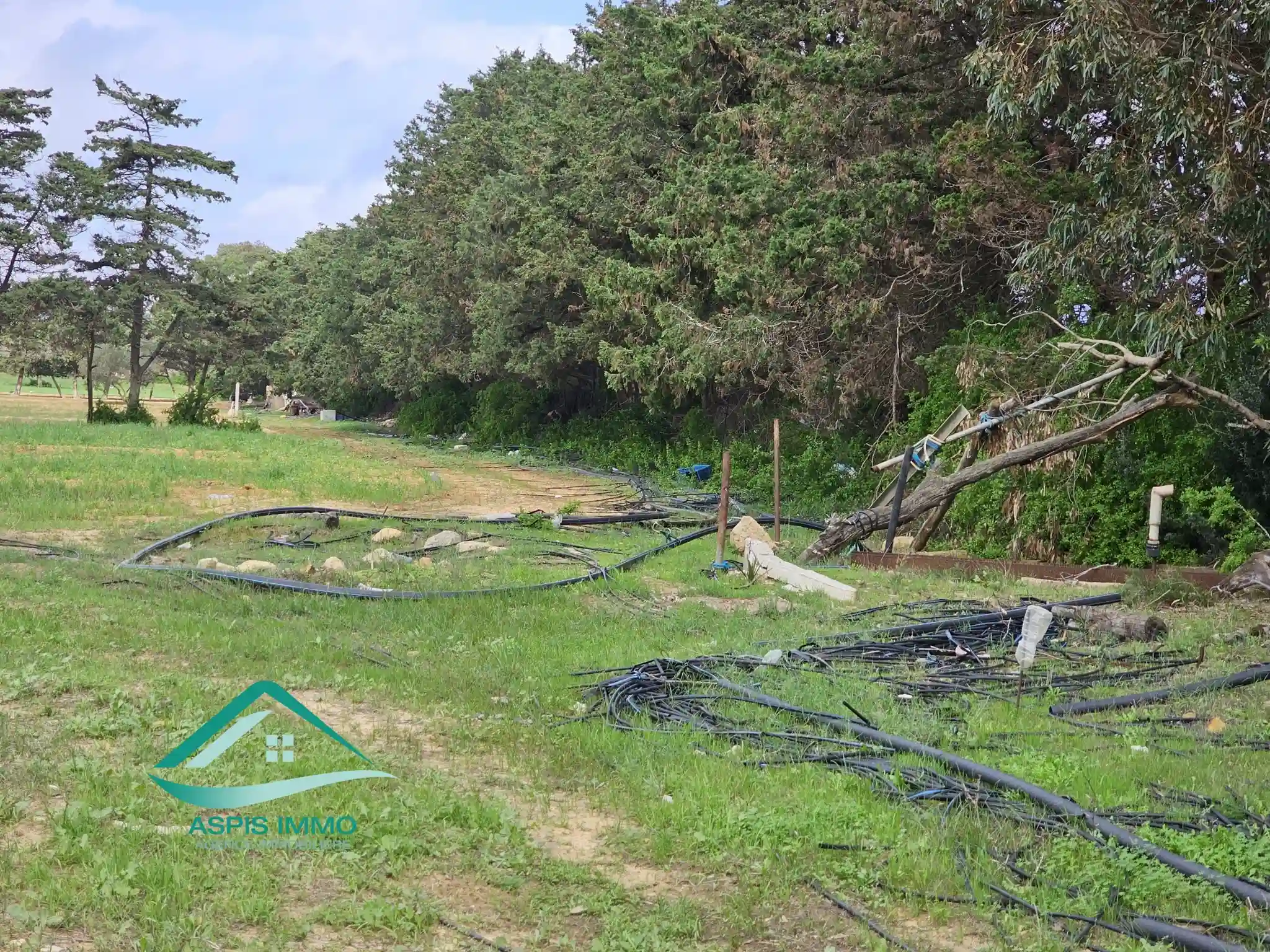 Vt955 Terrain 1000 m2 à Kerkouene à Kelibia - Vue 4