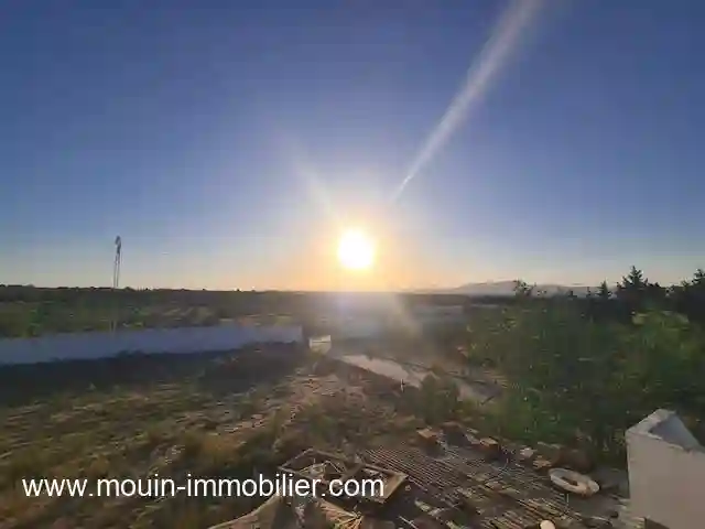 Ferme Asil Borj Hfaiedh Beni Oueil ii - Vue 2