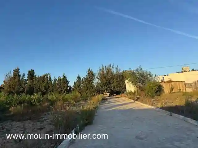 Ferme Asil Borj Hfaiedh Beni Oueil ii - Vue 3