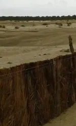 Une Belle Villa à Tozeur Cs5527