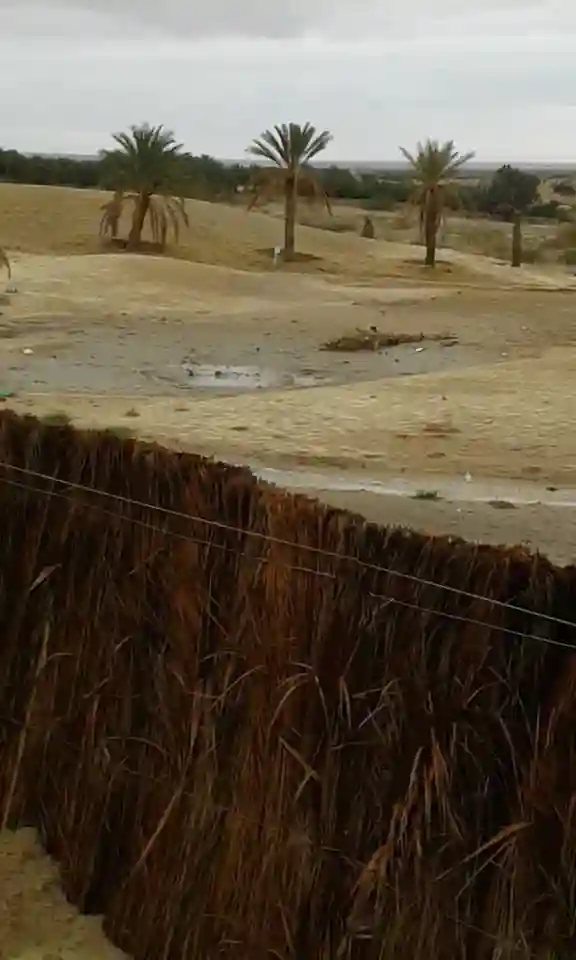 Une Belle Villa à Tozeur Cs5527 - Vue 15