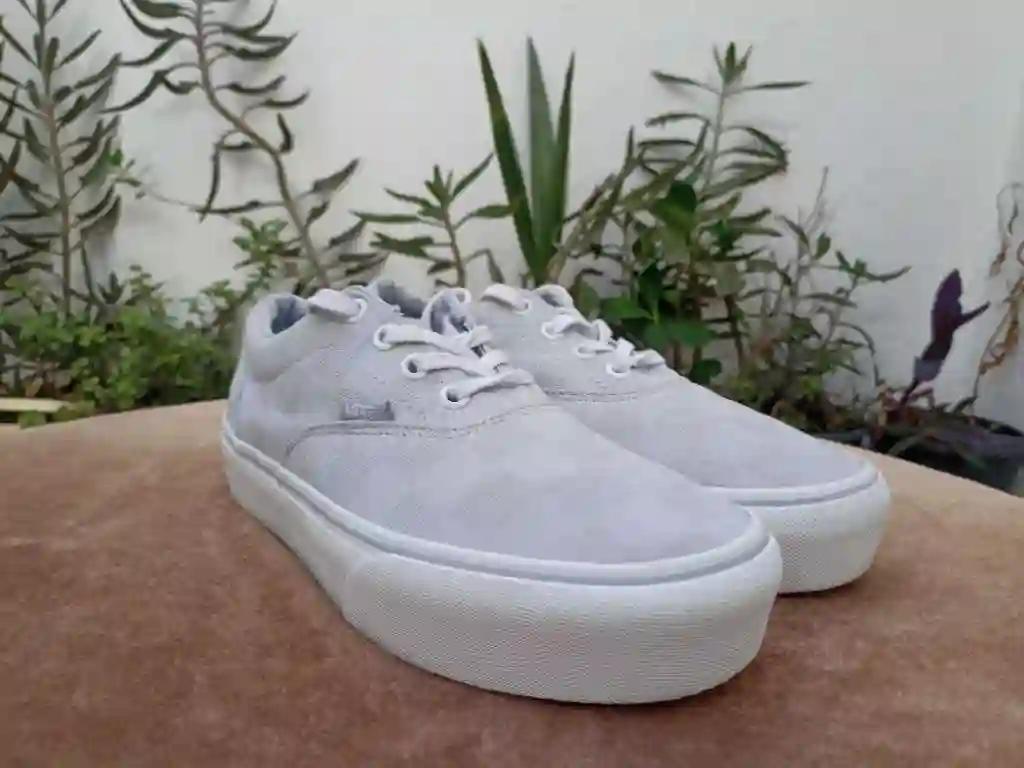 Vans Pointure 385