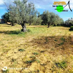 Terrain Agricole 1hectare et 8000m à Sidi Bouali à Sidi Bou Ali