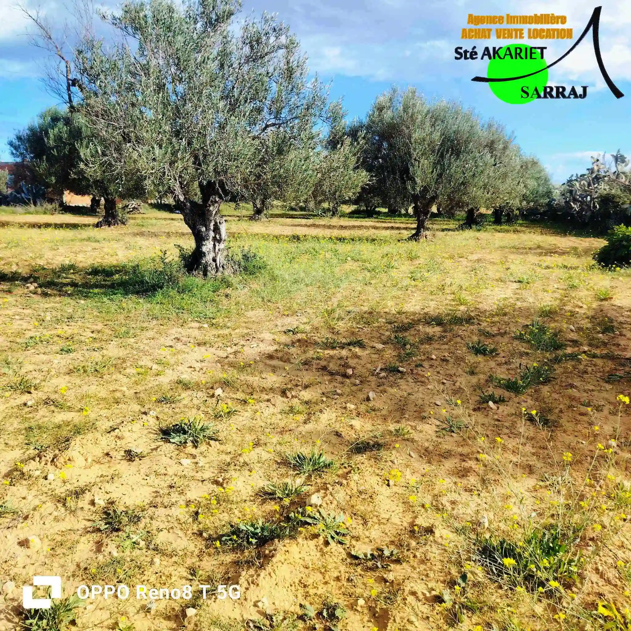 Terrain Agricole 1hectare et 8000m à Sidi Bouali à Sidi Bou Ali