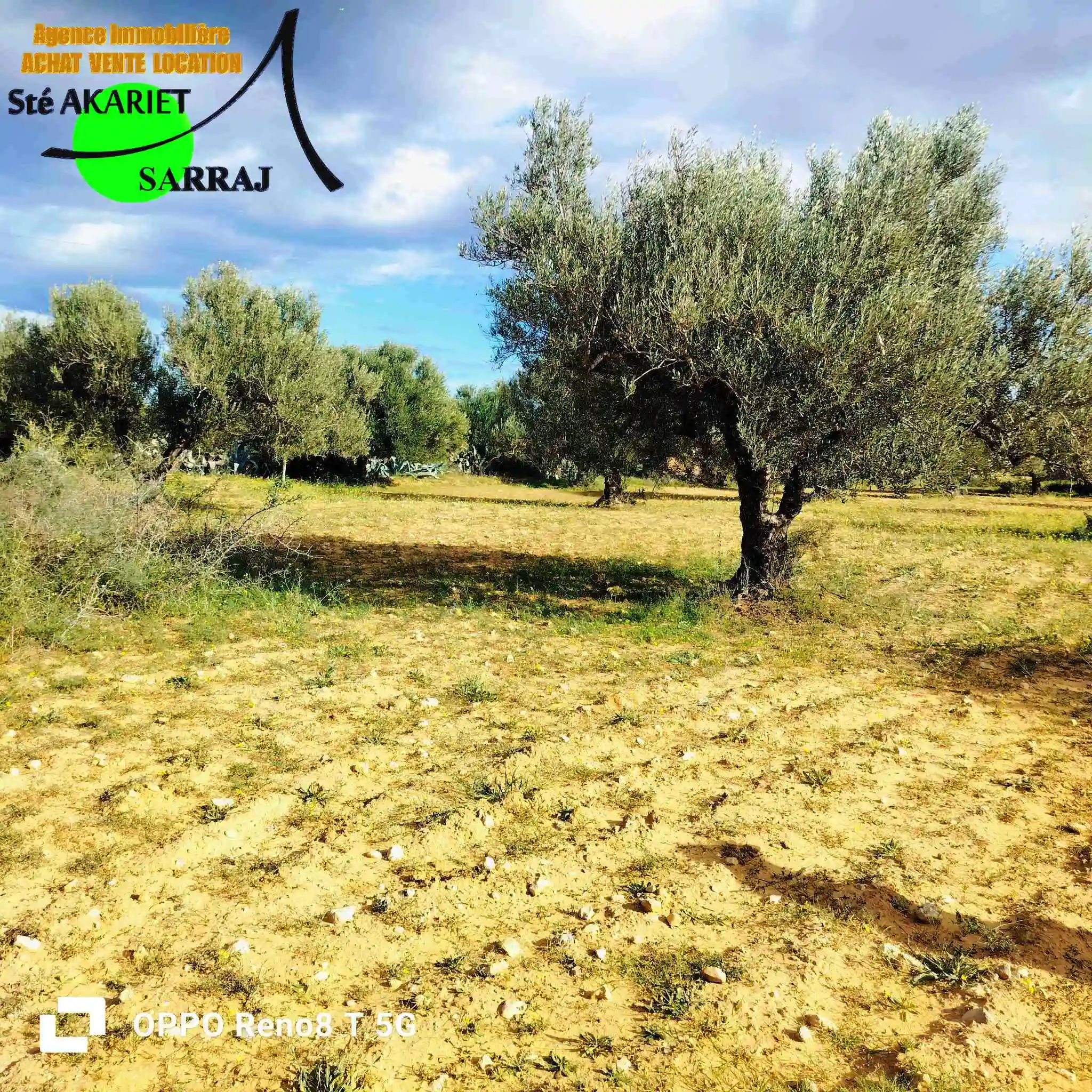 Terrain Agricole 1hectare et 8000m à Sidi Bouali à Sidi Bou Ali - Vue 3