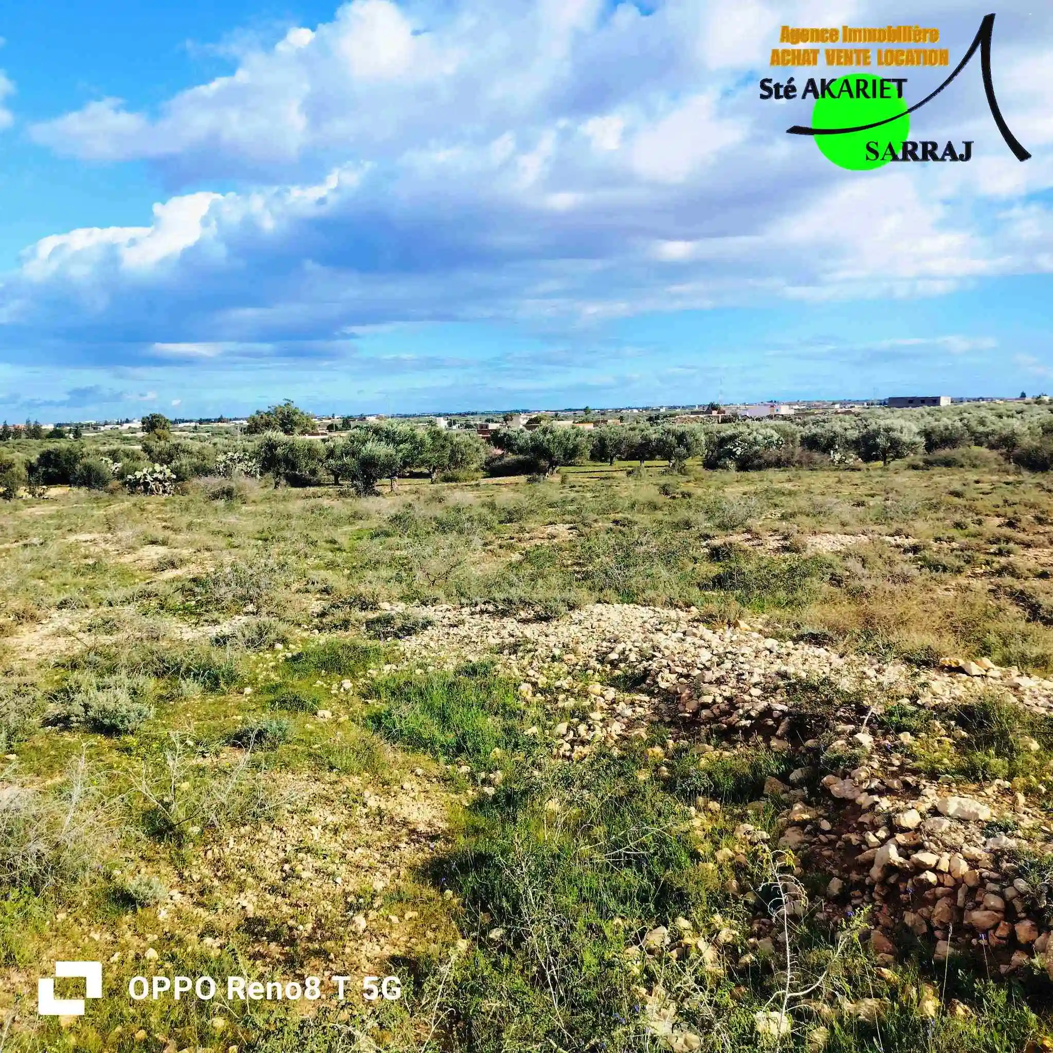 Terrain Agricole 1hectare et 8000m à Sidi Bouali à Sidi Bou Ali - Vue 4