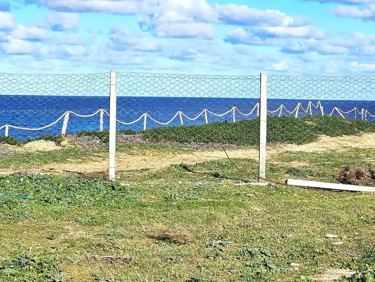 Terrain Front mer 2200 m2 Rafraf Plage ain Mestir à Rafraf Plage