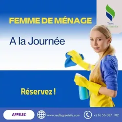 Nettoyer LA Maison Rapidement ET Efficacement
