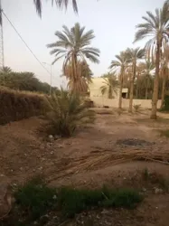 a Vendre Terrain a Tozeur Avec Titre Blue