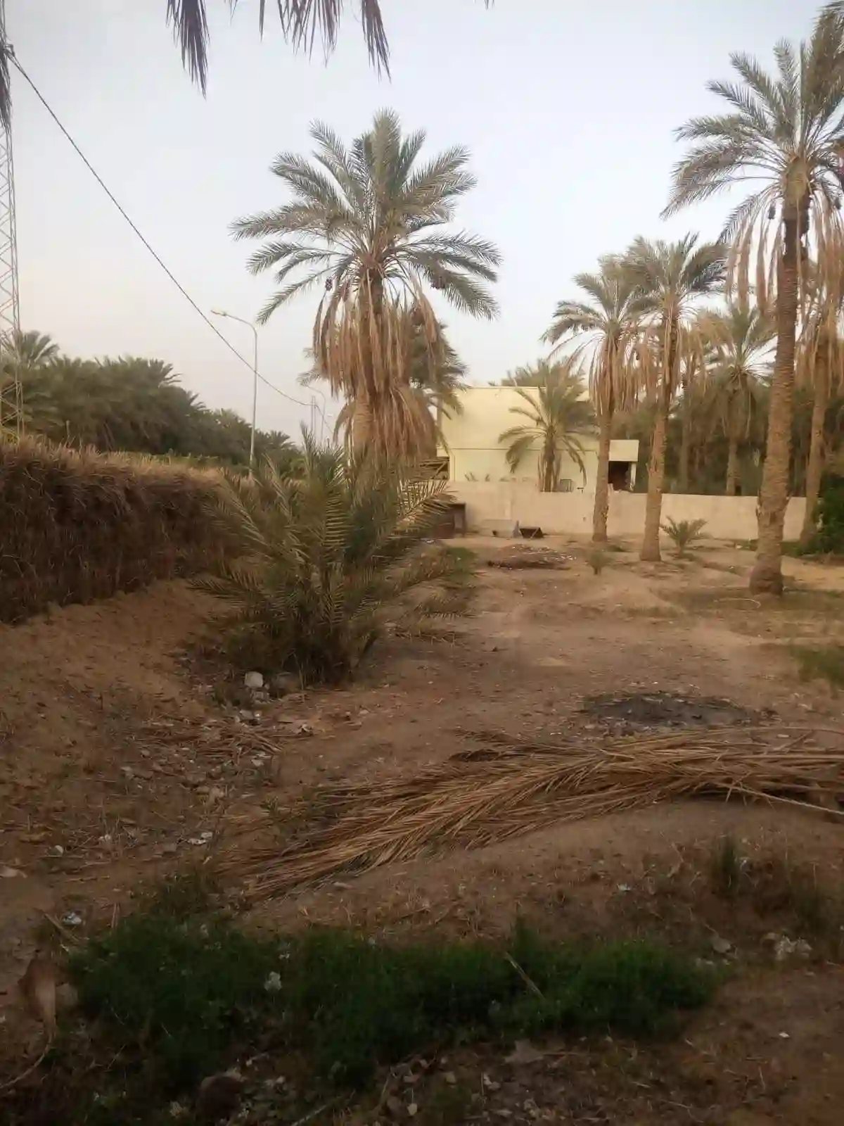 a Vendre Terrain a Tozeur Avec Titre Blue