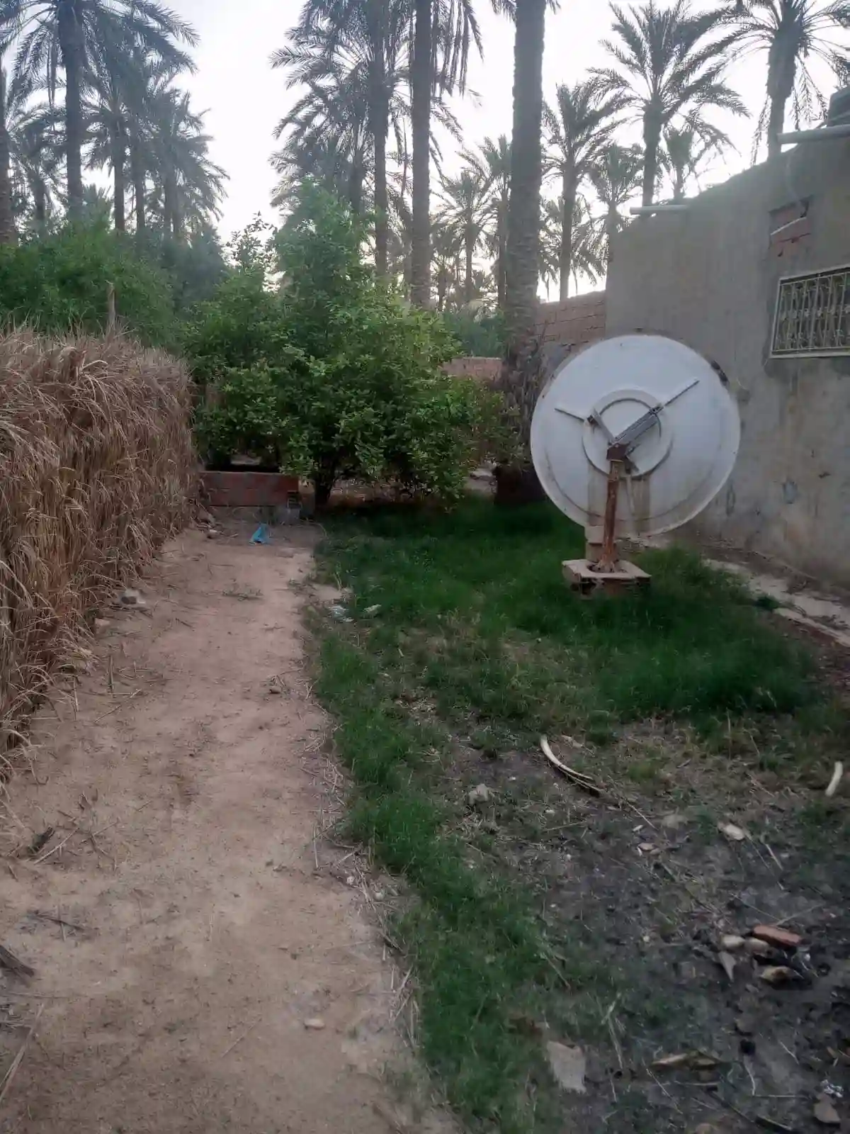 a Vendre Terrain a Tozeur Avec Titre Blue - Vue 4