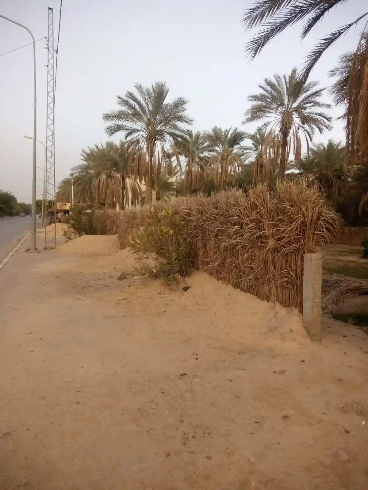 a Vendre Terrain a Tozeur Avec Titre Blue - Vue 5